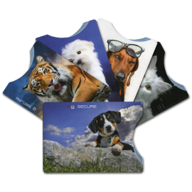 étui de protection BG SECURE pour carte bancaire sans contact NFC